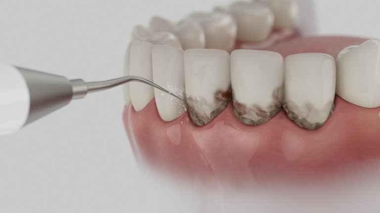 Reliable Dental contractor in Bienville Parish County, LA by Dentist Open Now